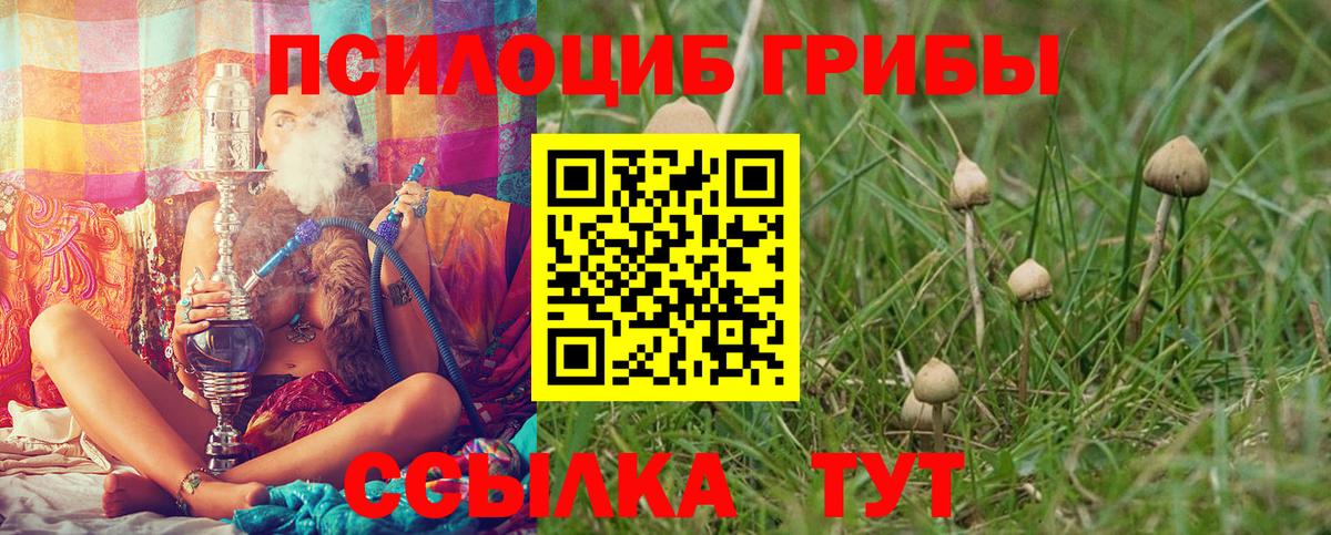 Серов  Псилоцибиновые грибы прущие грибы  Псилоцибиновые грибы Magic Shrooms  Вход с VPN 