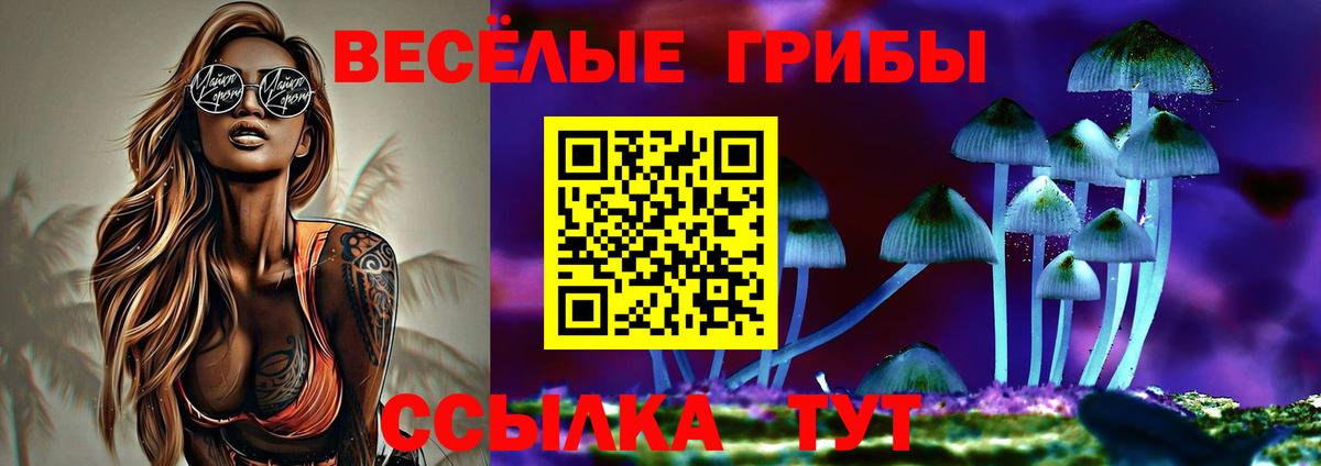 Псилоцибиновые грибы прущие грибы Серов